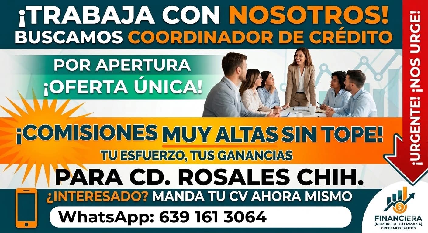 Cordinador de crédito