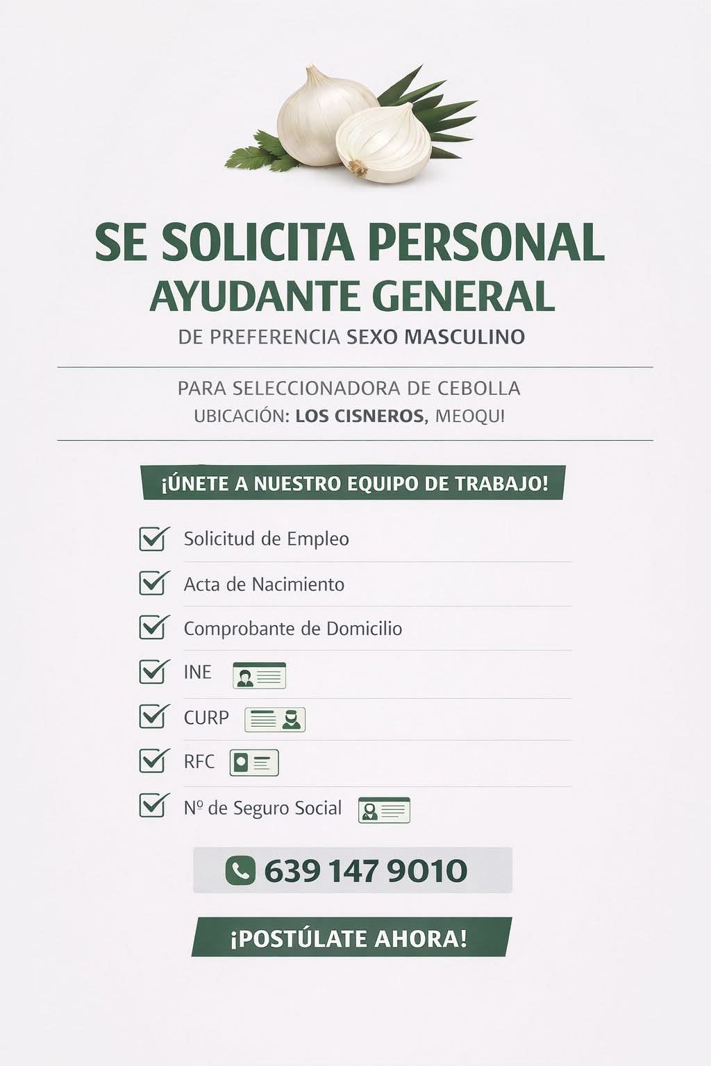 Ayudante general