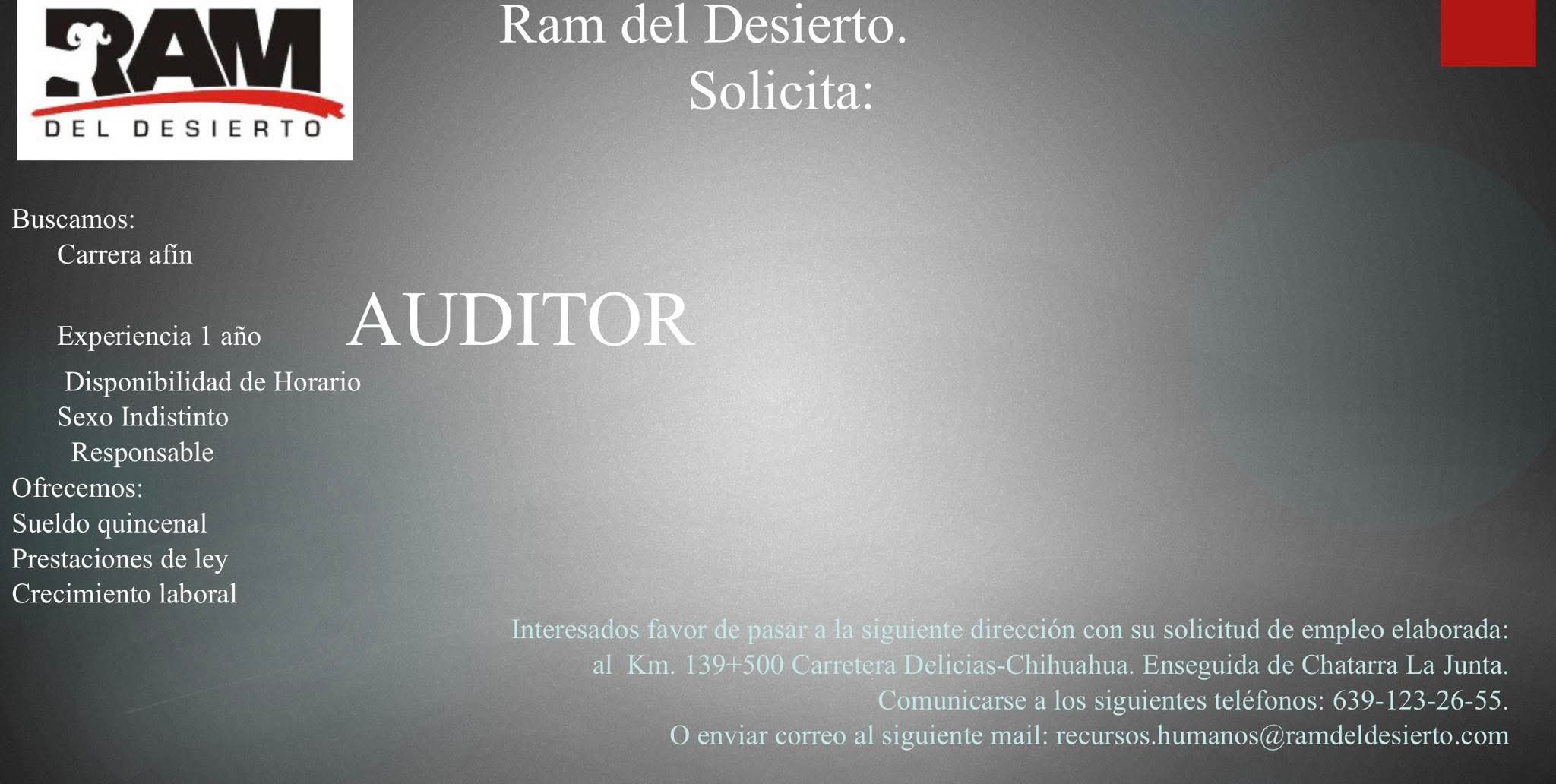 Auditor