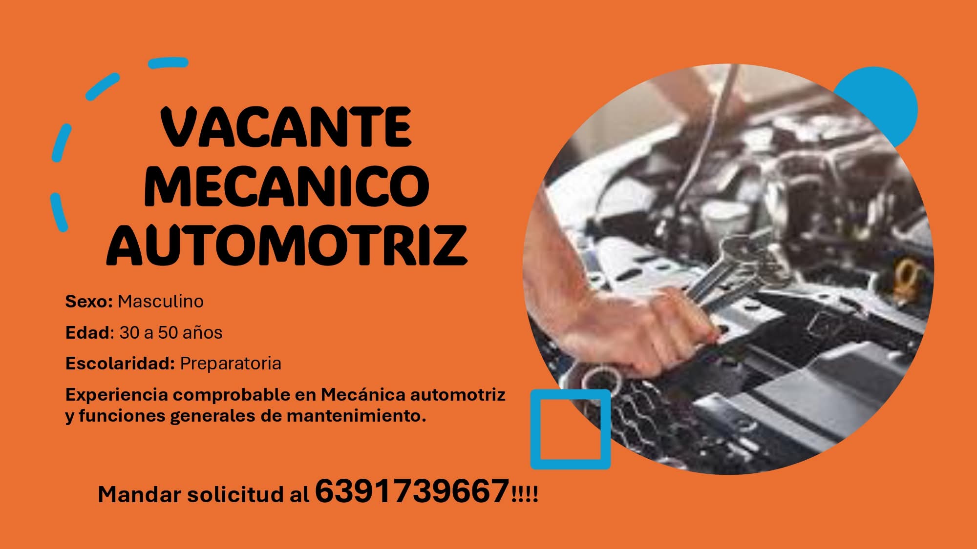 Vacante automatriz