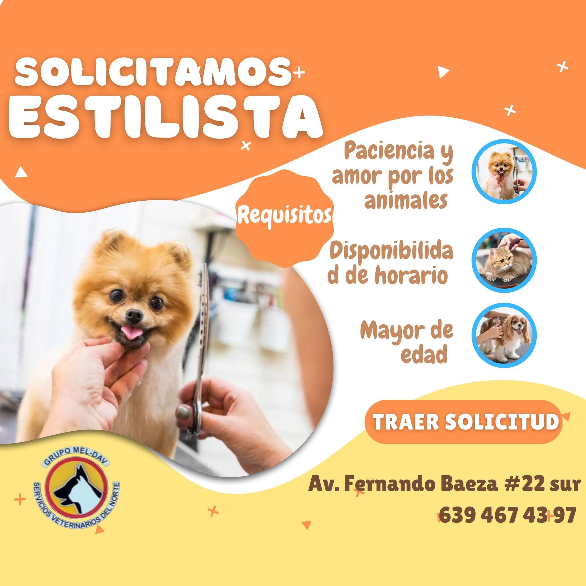 Estilista