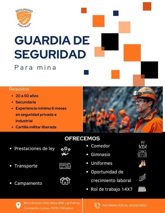 Guardia de seguridad