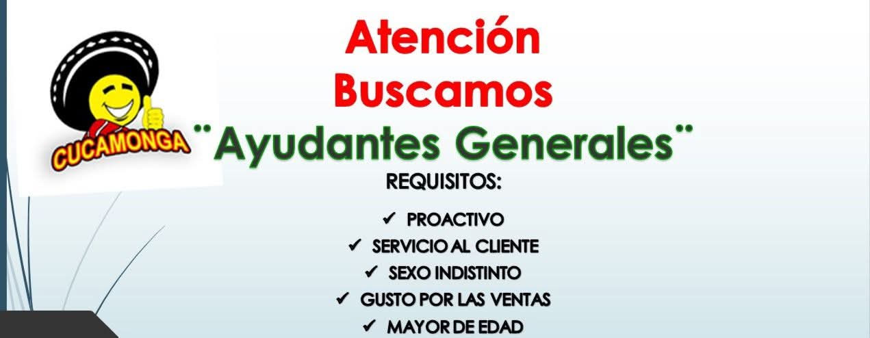 Ayudante general