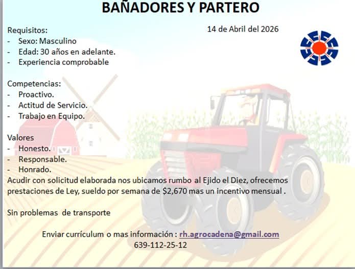 Bañadores y parteros