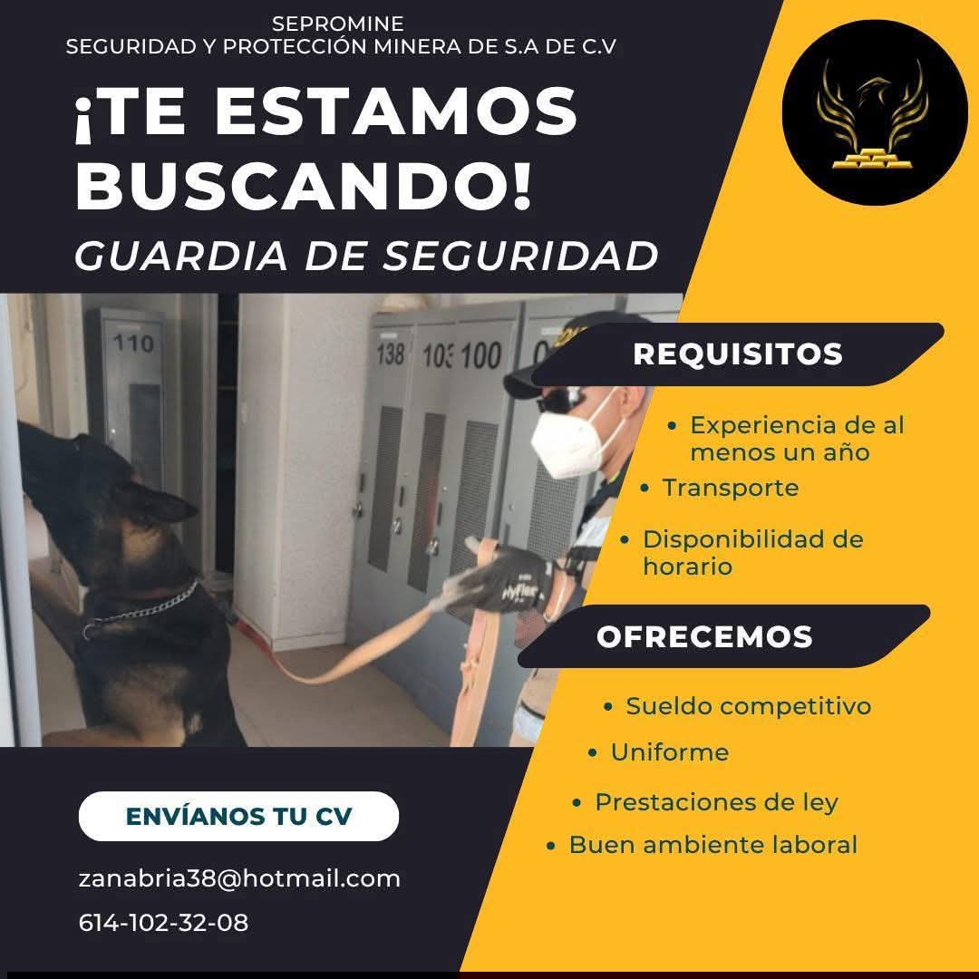 Guardia de seguridad