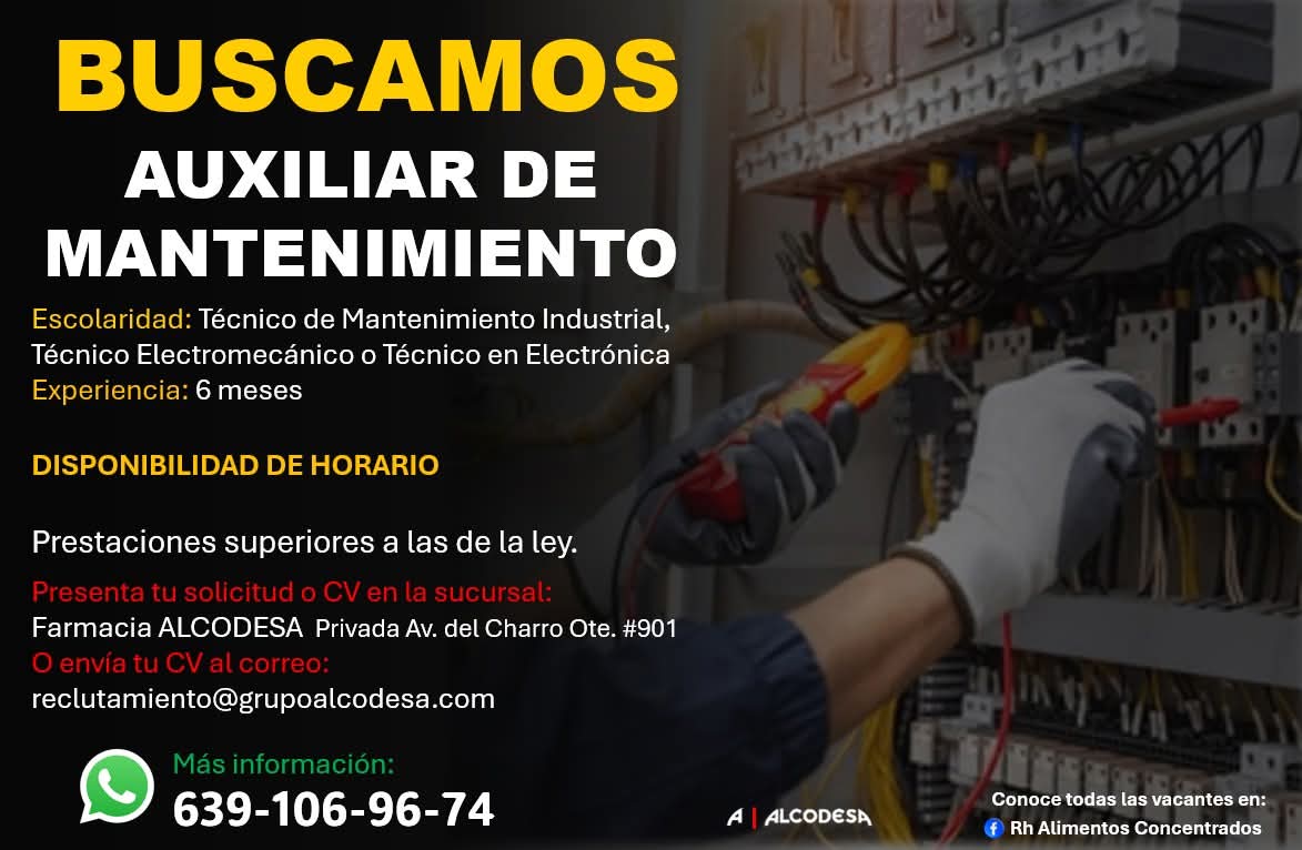Auxiliar de mantenimiento