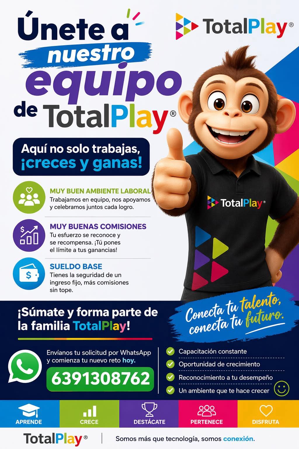 Promotor de ventas