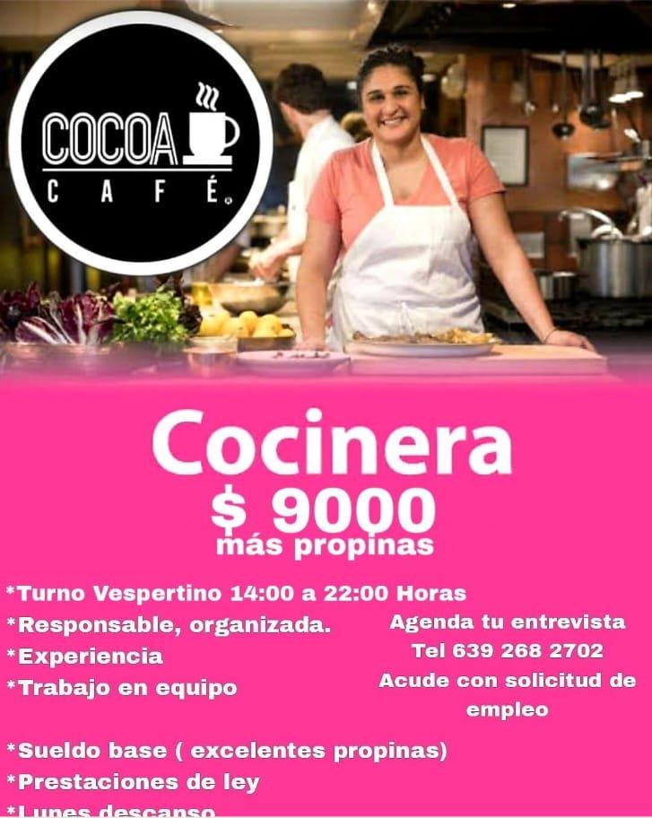 Cocinera