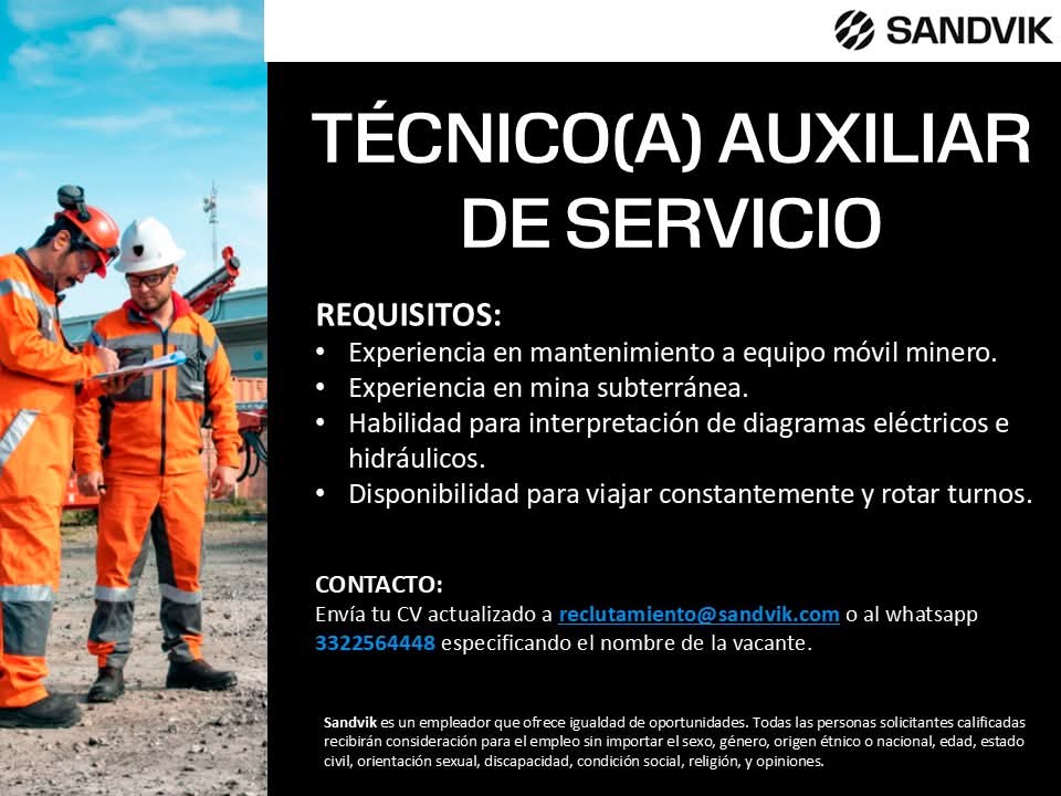 Técnico auxiliar de servicio