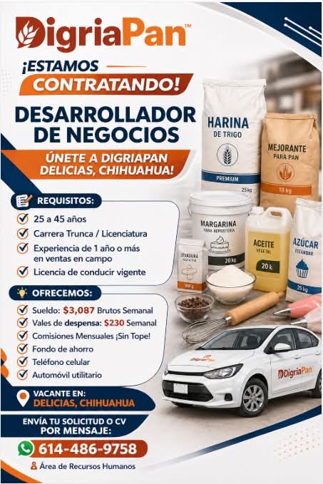Desarrollador de negocios