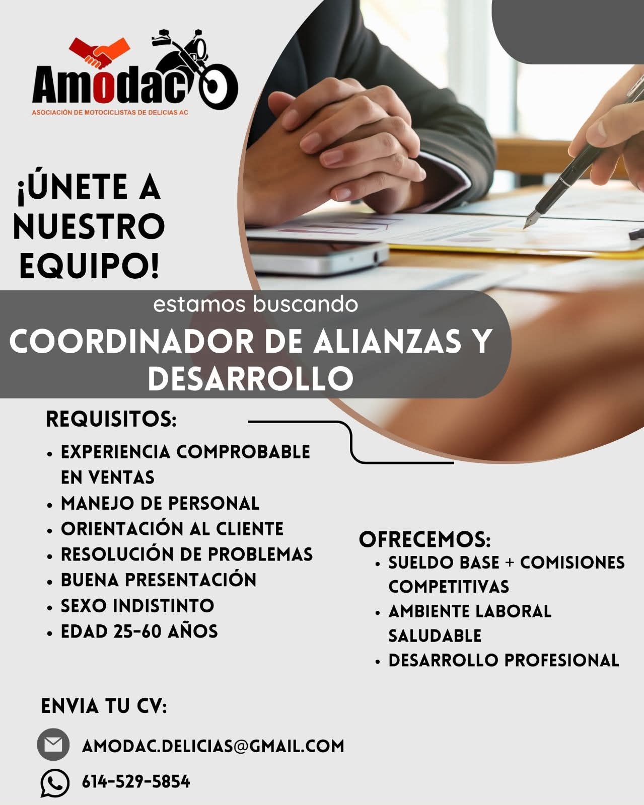 Cordinador de alianza