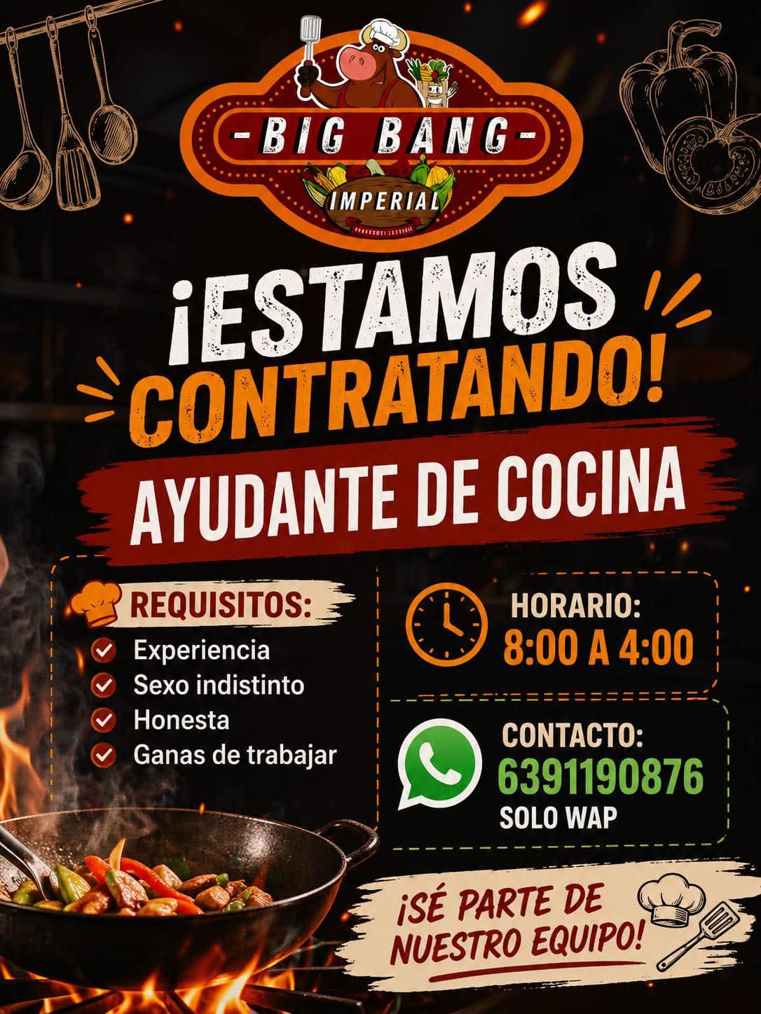 Ayudante de cocina