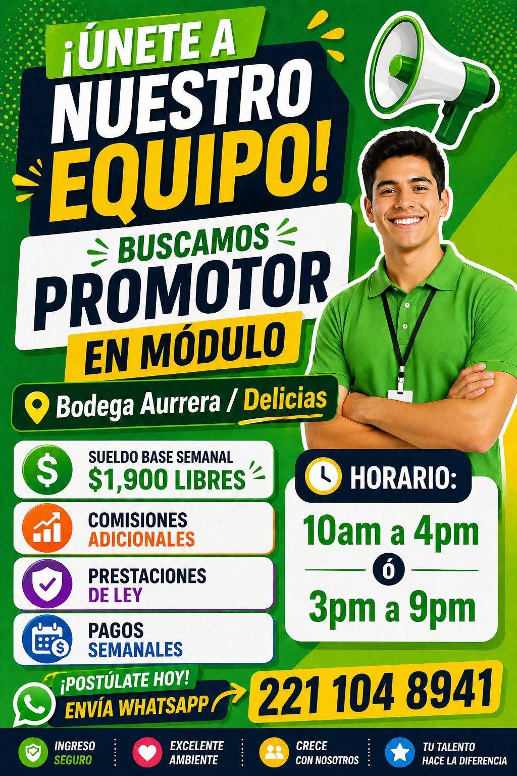 Promotor de módulo