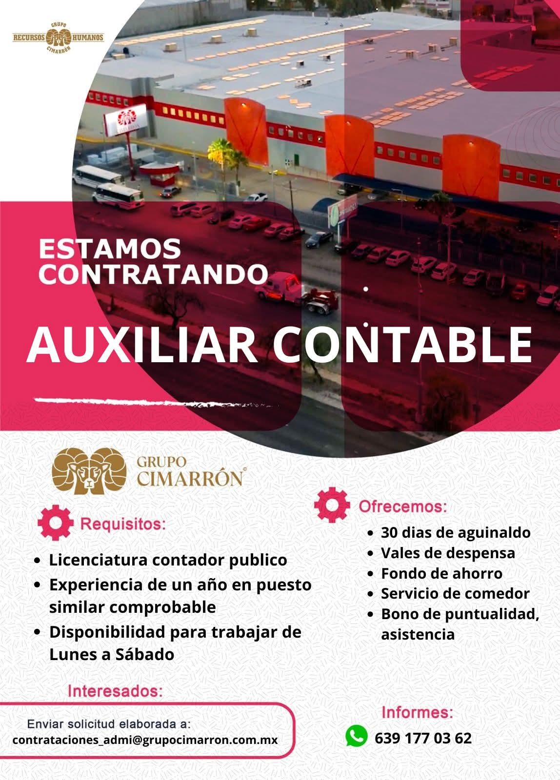 Auxiliar contable