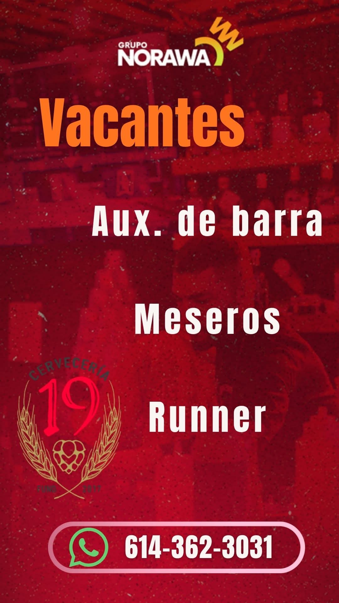Aux de barra y meseros