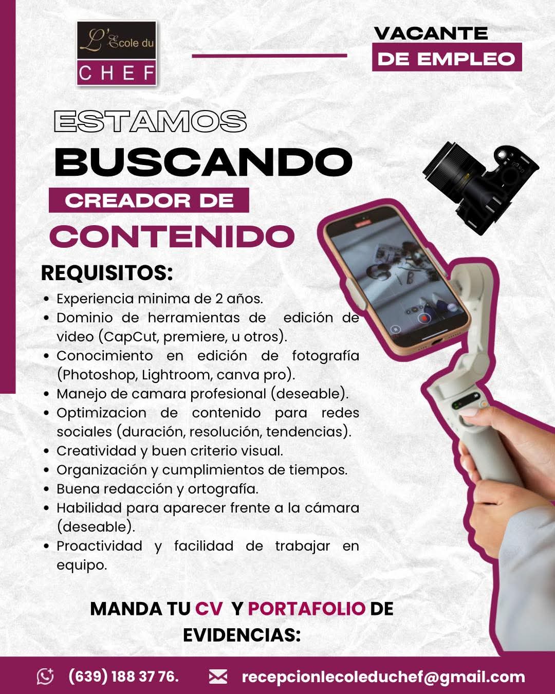Creadores de contenido