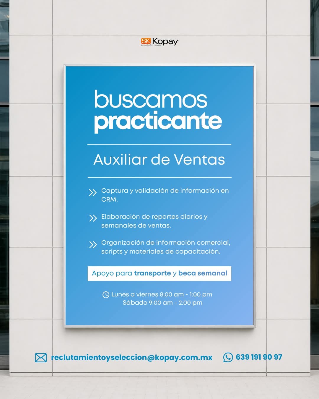 Auxiliar de ventas