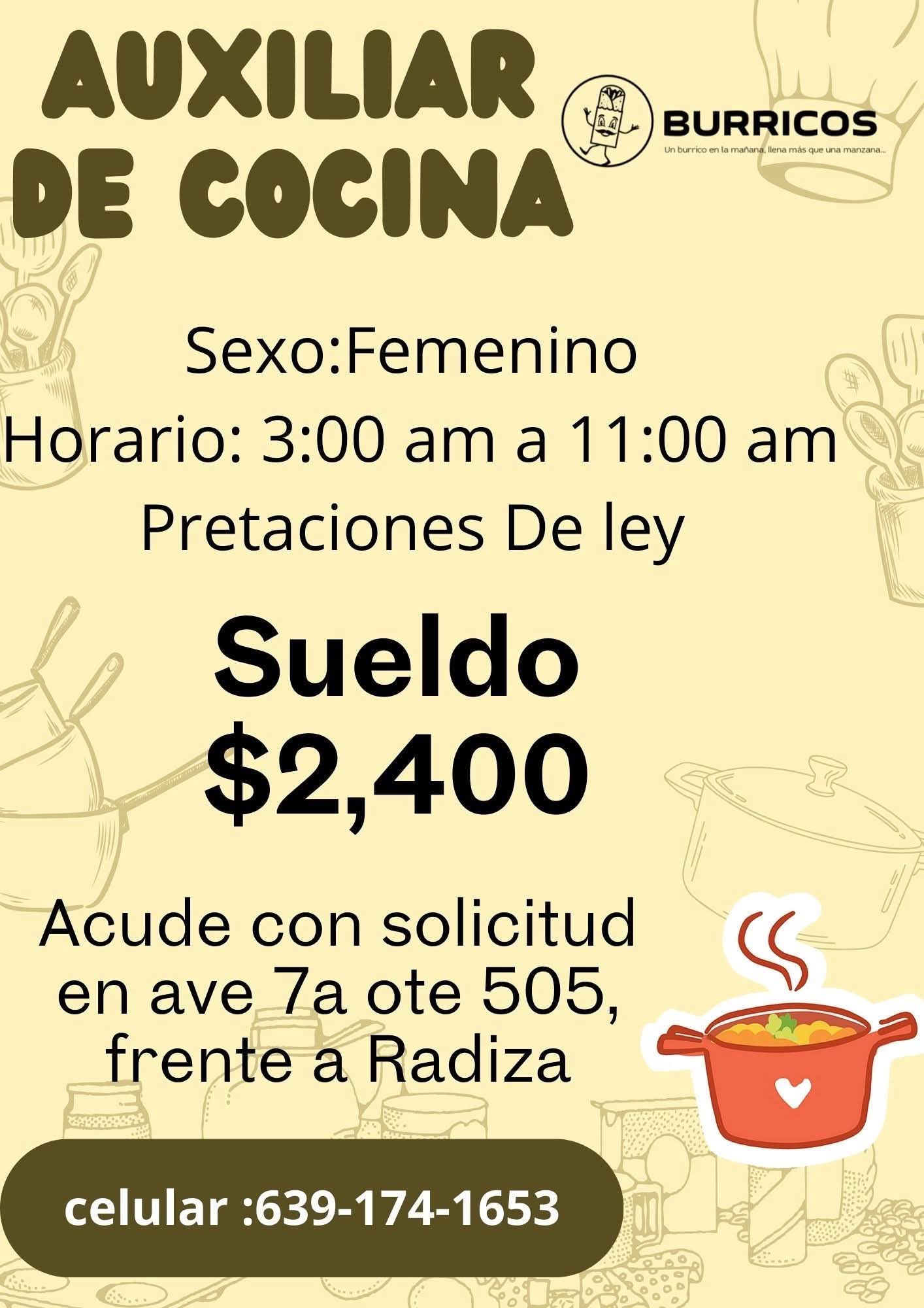 Auxiliar de cocina
