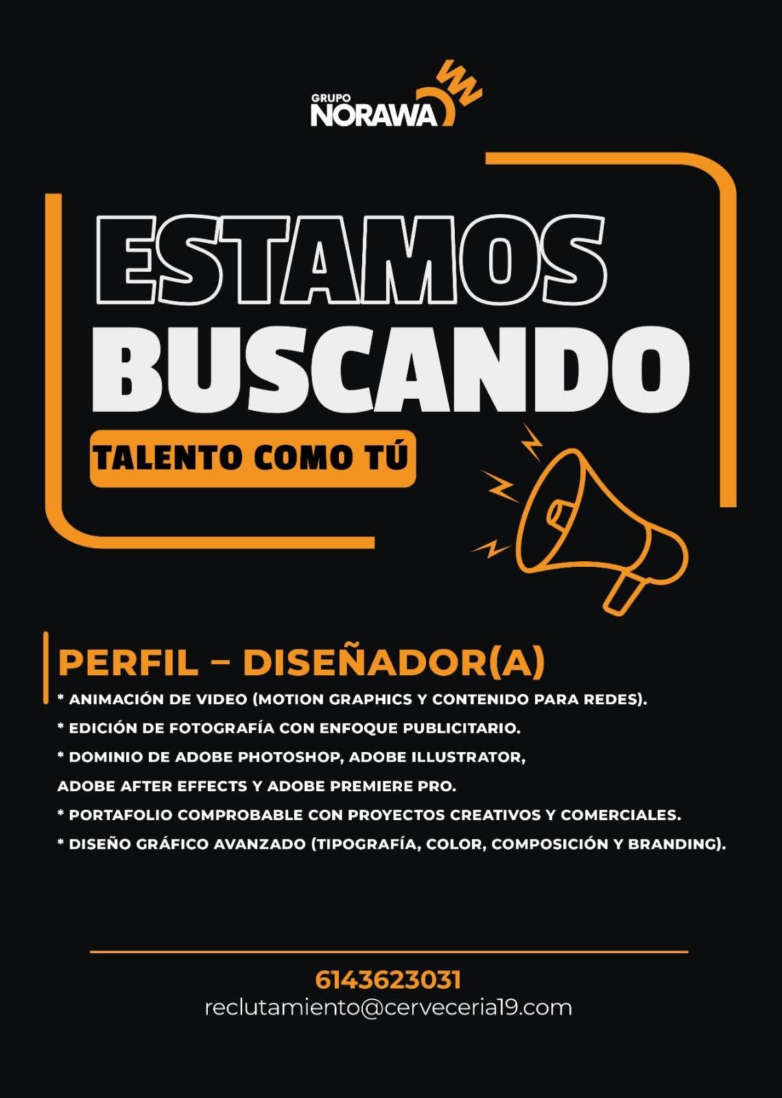 Diseñador gráfico