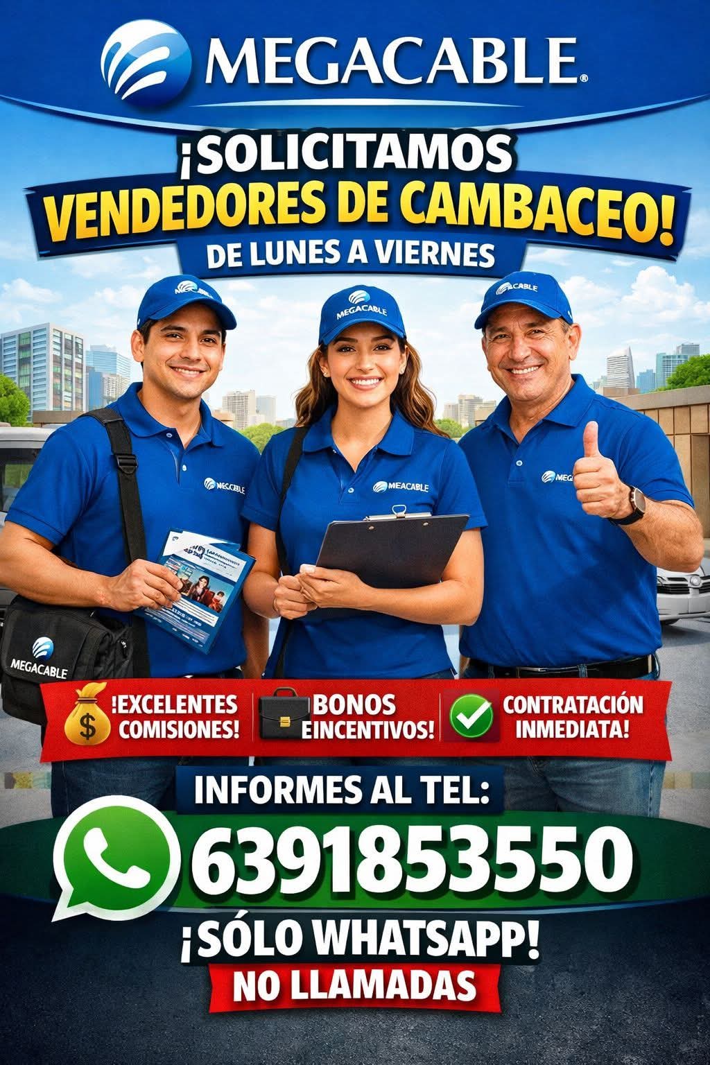 Vendedor de combaceo