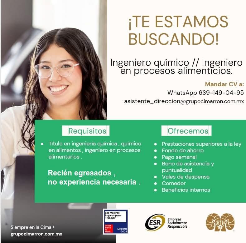 Ingeniero químico