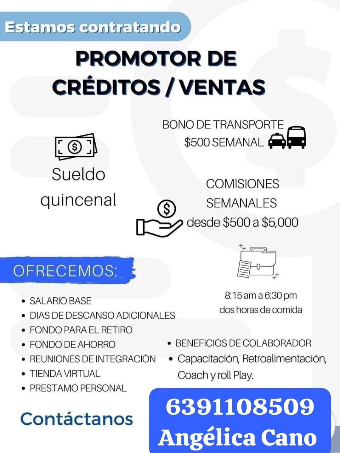 Promotor de ventas