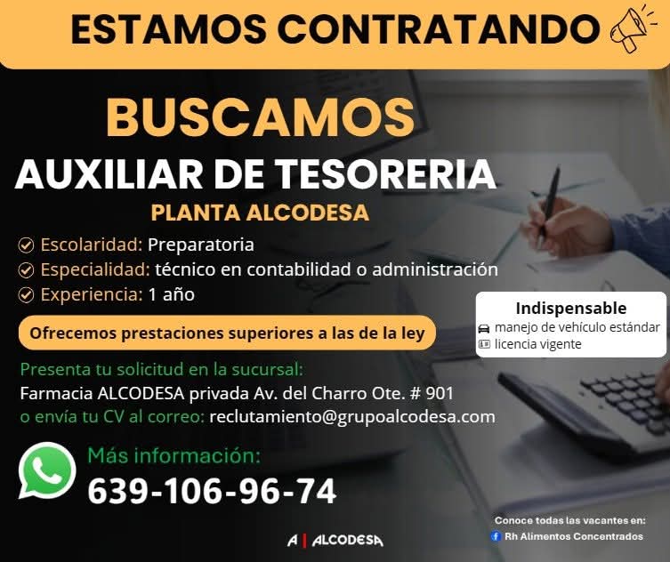 Auxiliar tesorería