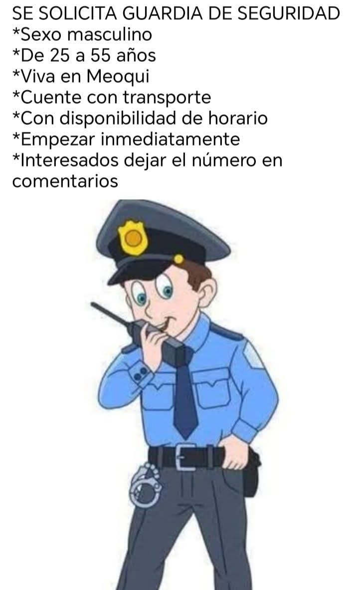 Guardia de seguridad