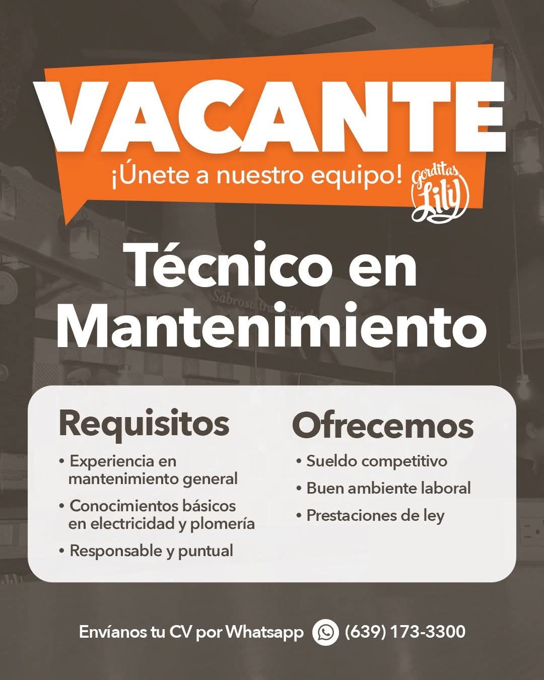 Técnico de mantenimiento