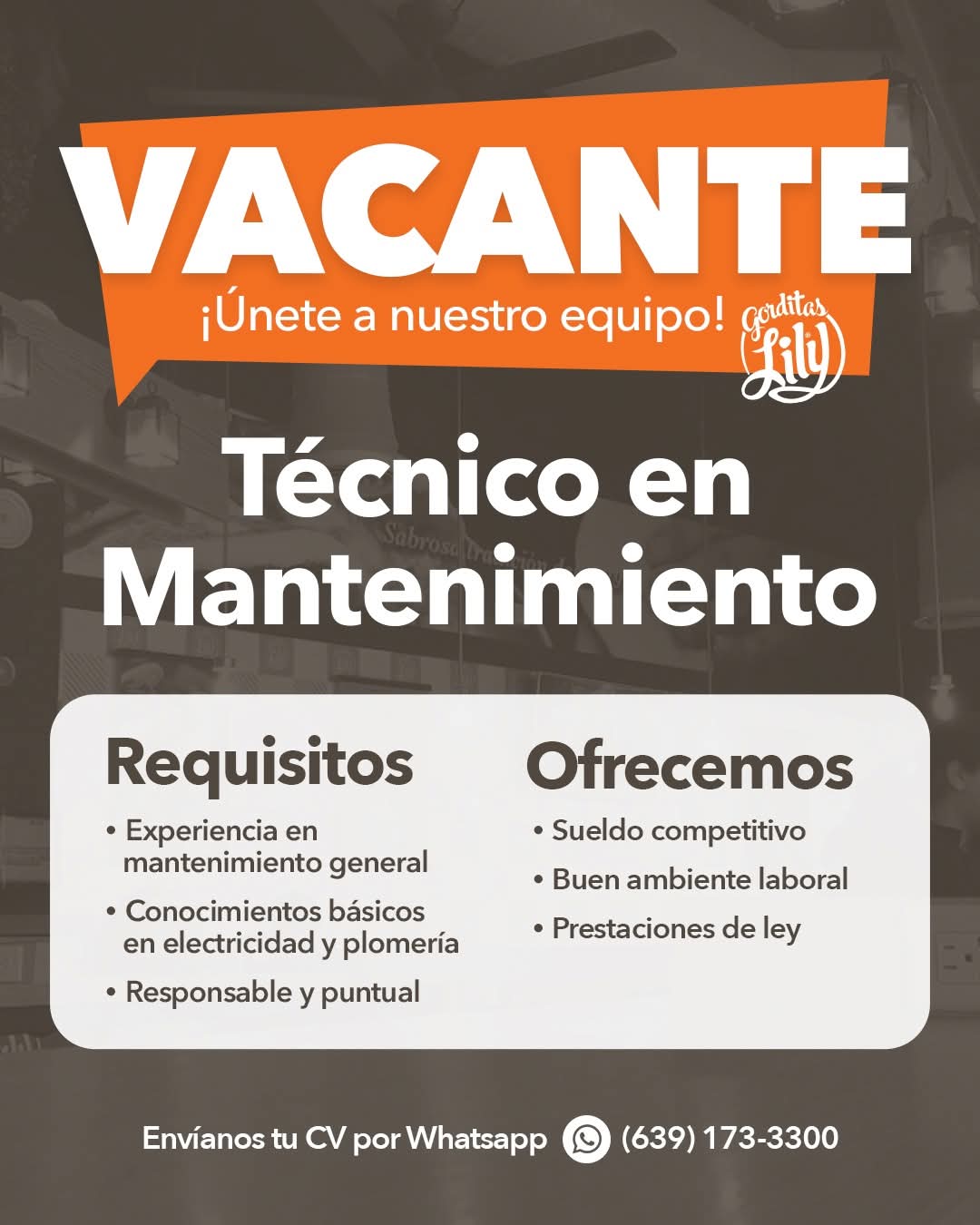 Tecnico de matenimienti