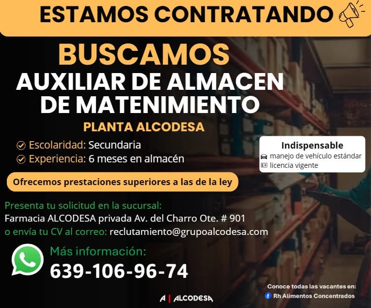 Auxiliar de almacén y mantenimiento