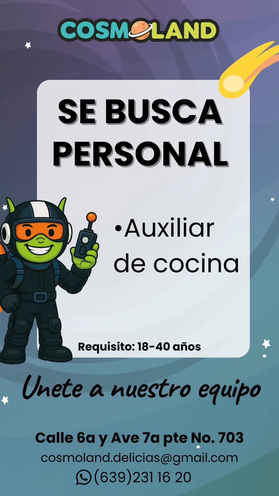 Auxiliar de cocina