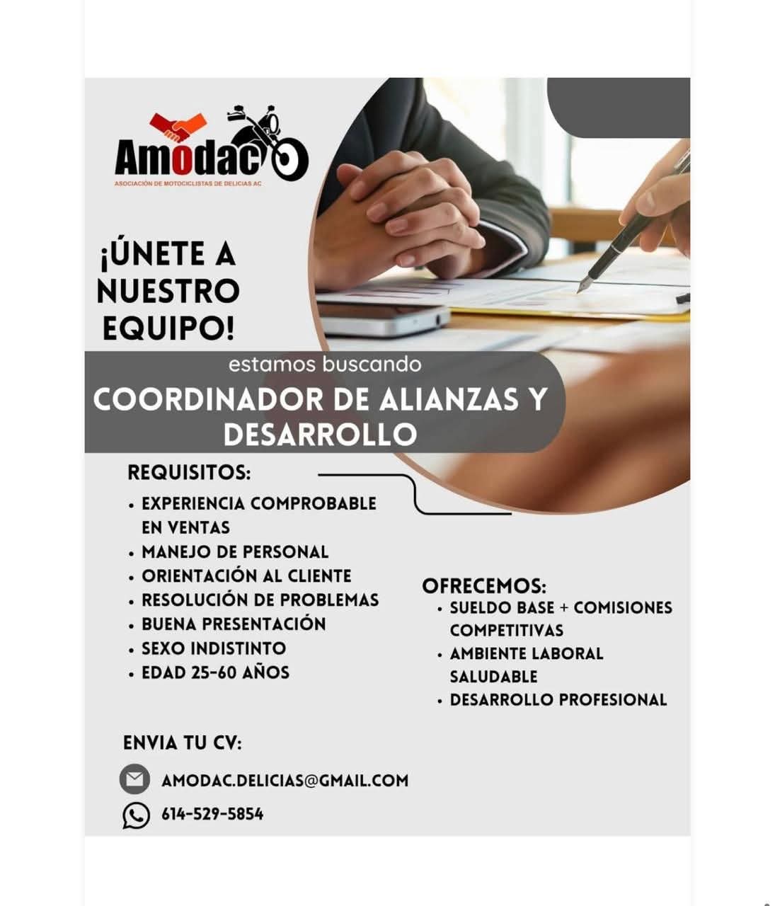 Coordinador de alianza