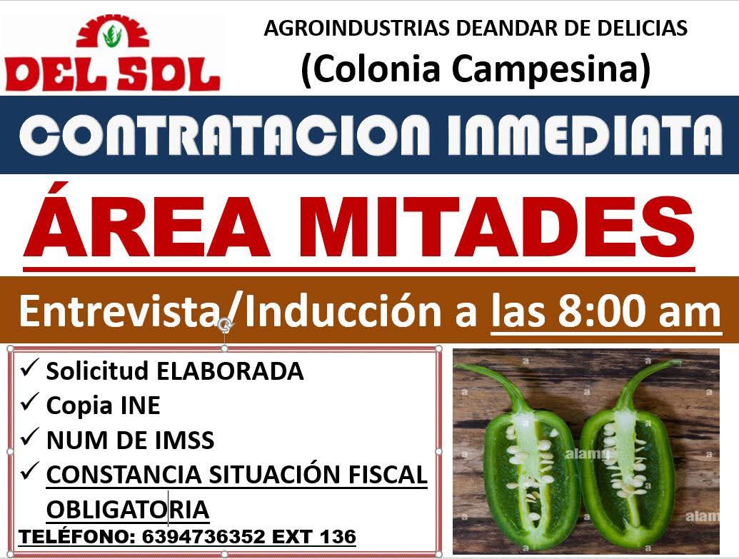 Personal para mitades