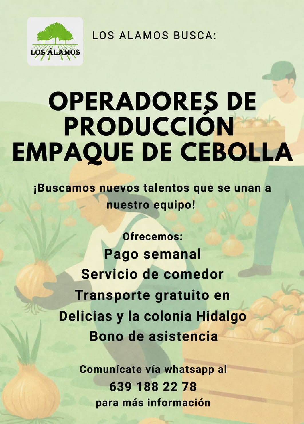 Operadores de producción