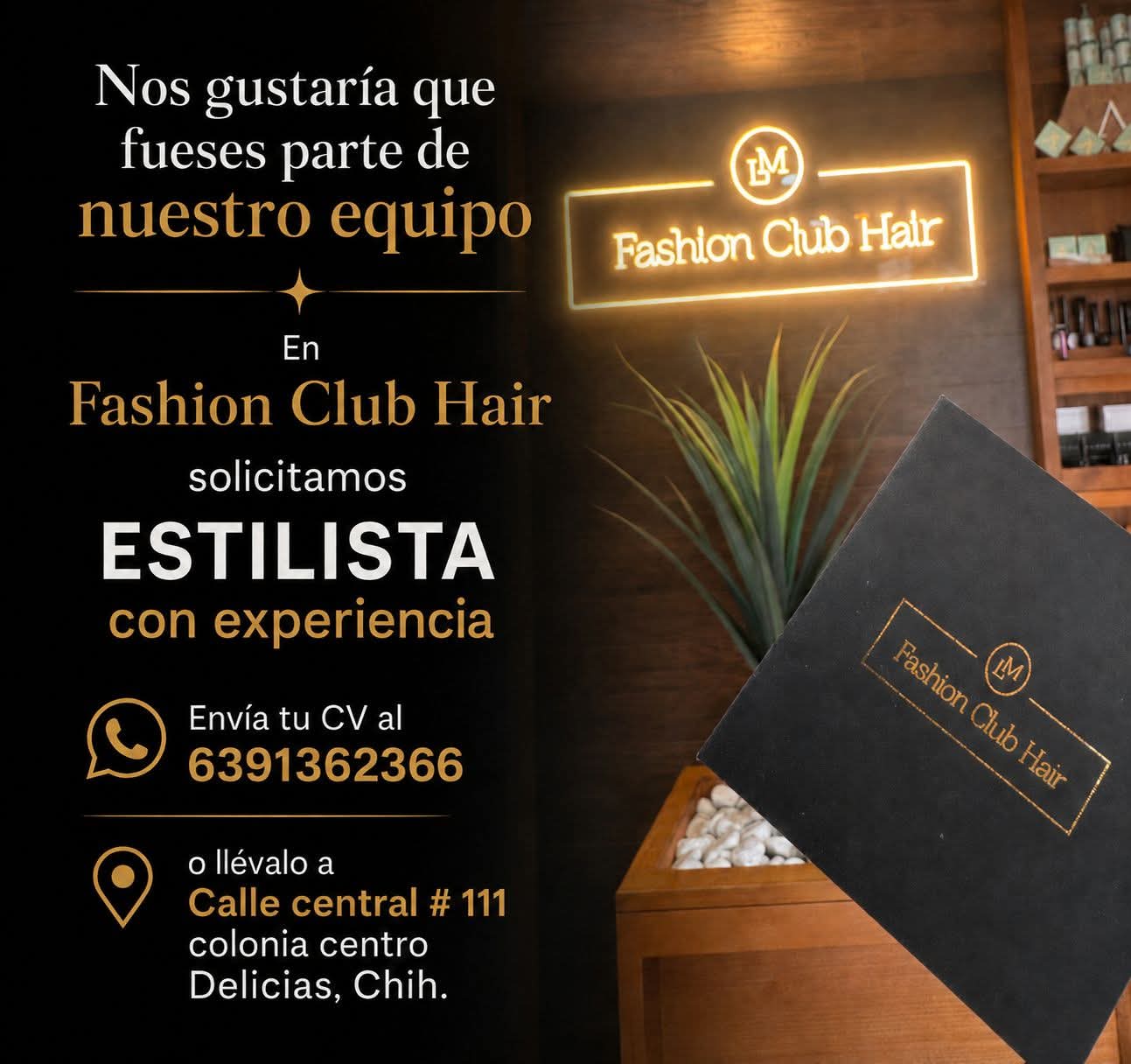 Estilista
