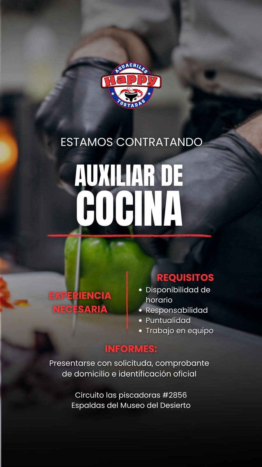 Auxiliar de cocina