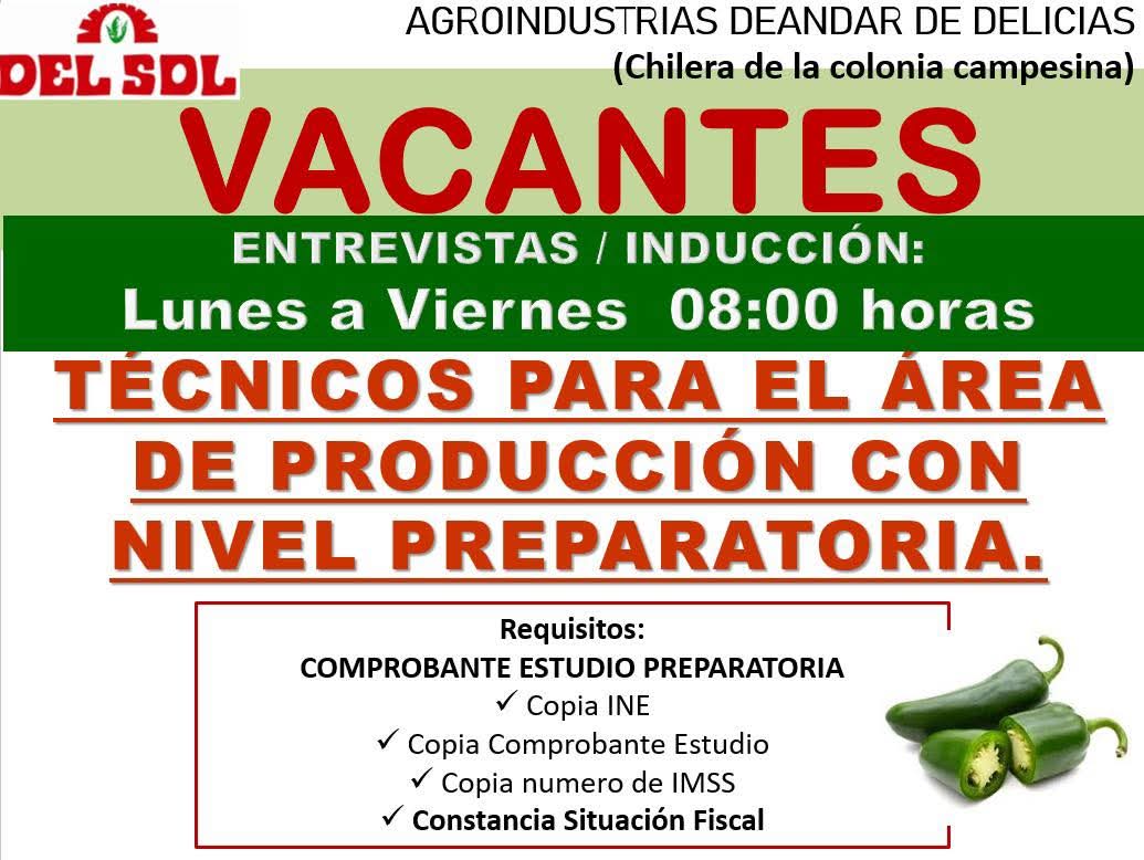 Tecnicos para el area de produccion