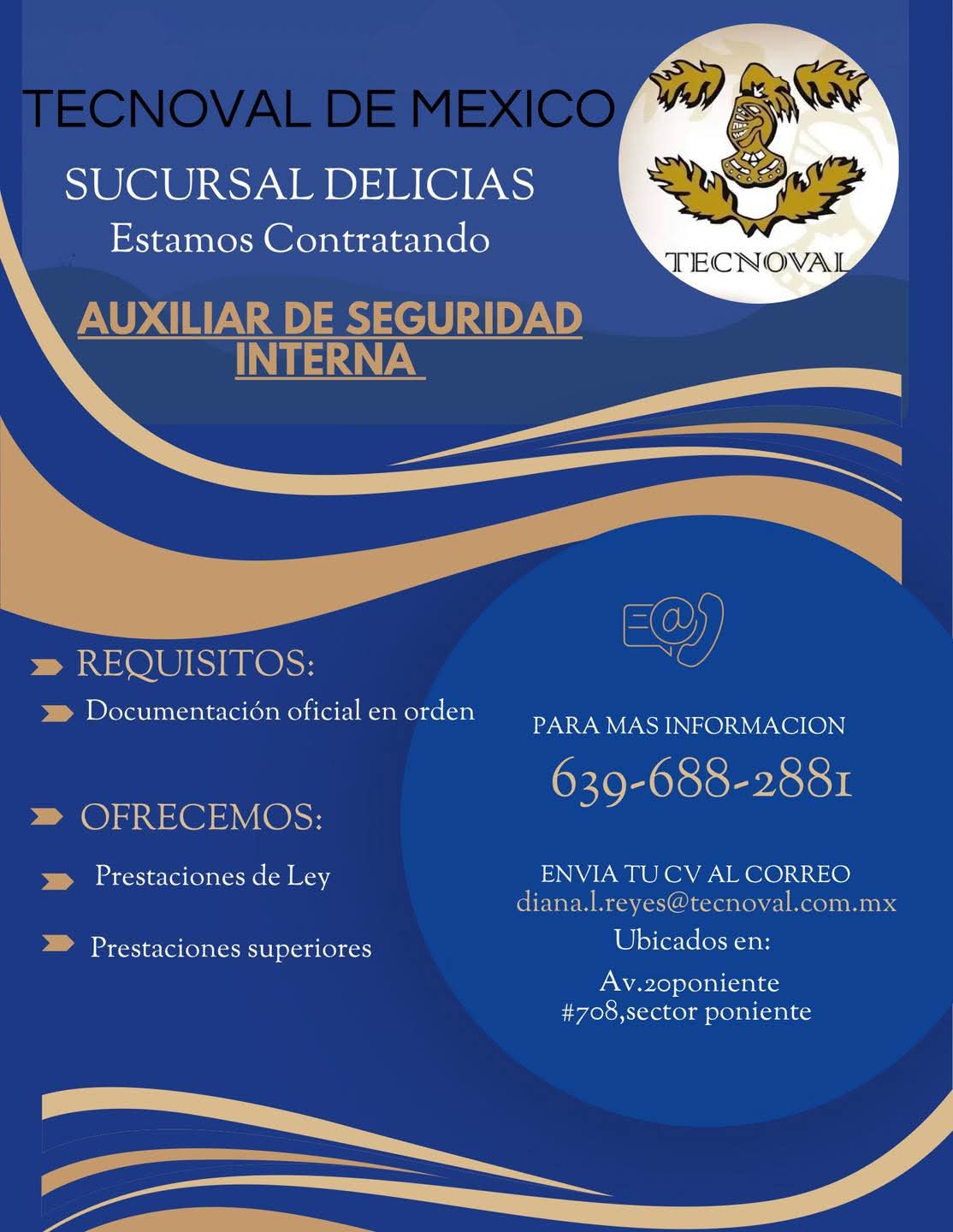 Auxiliar seguridad interna