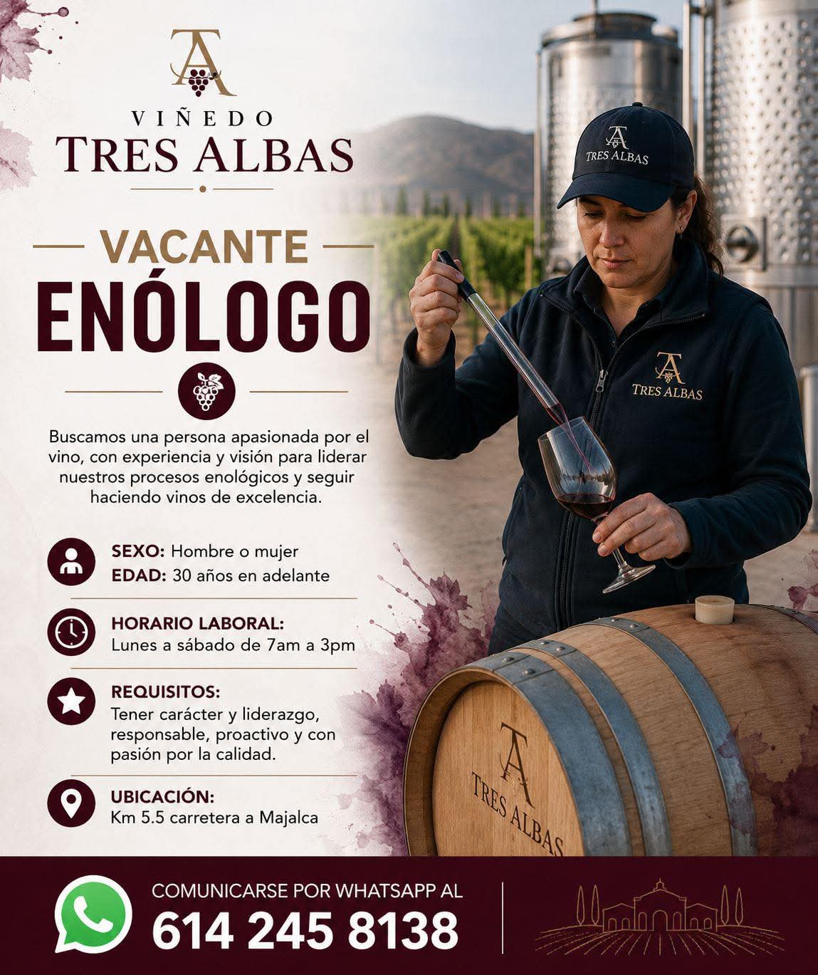 Enólogo