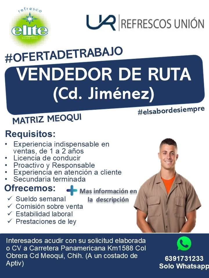 Vendedor de ruta