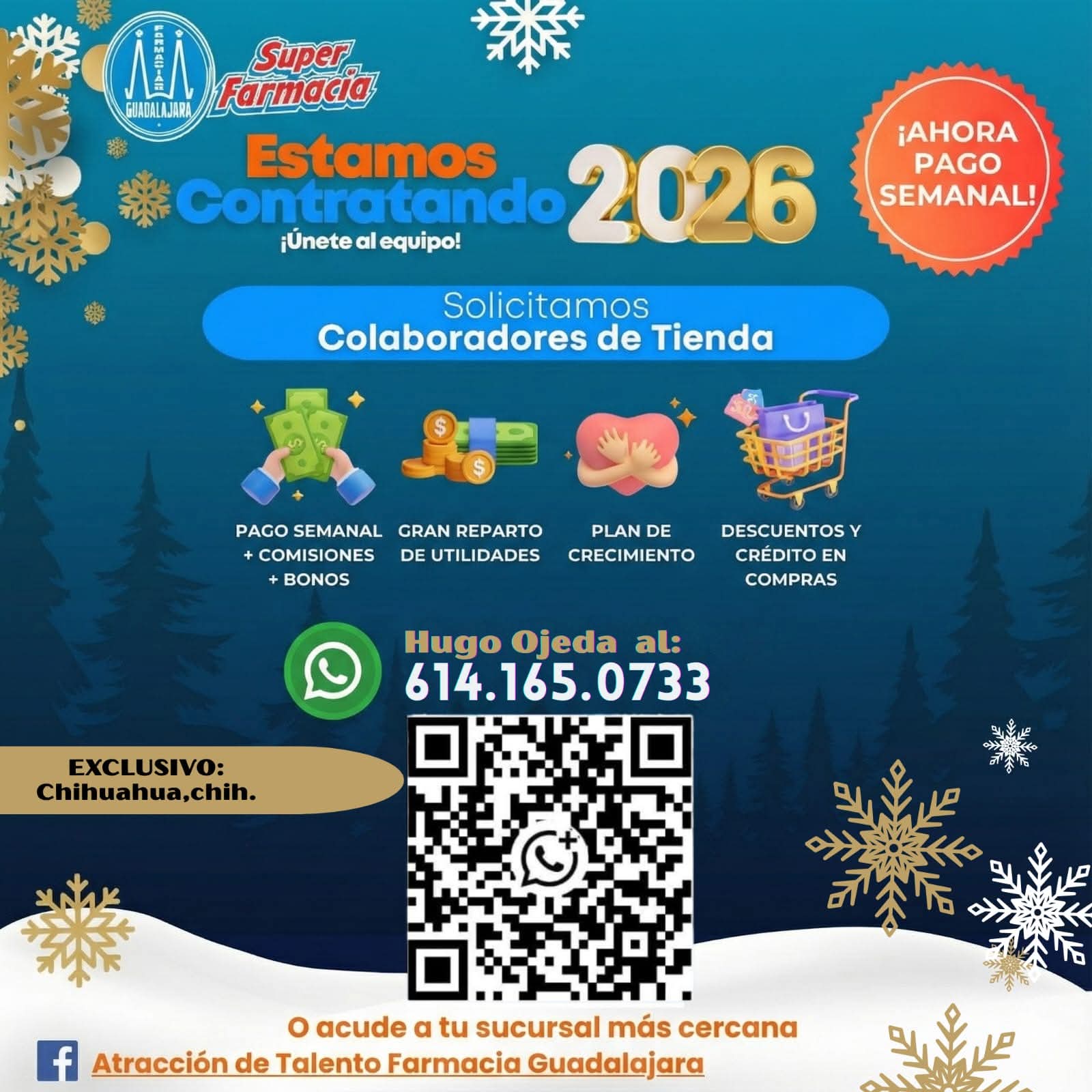 Colaboradores de tienda