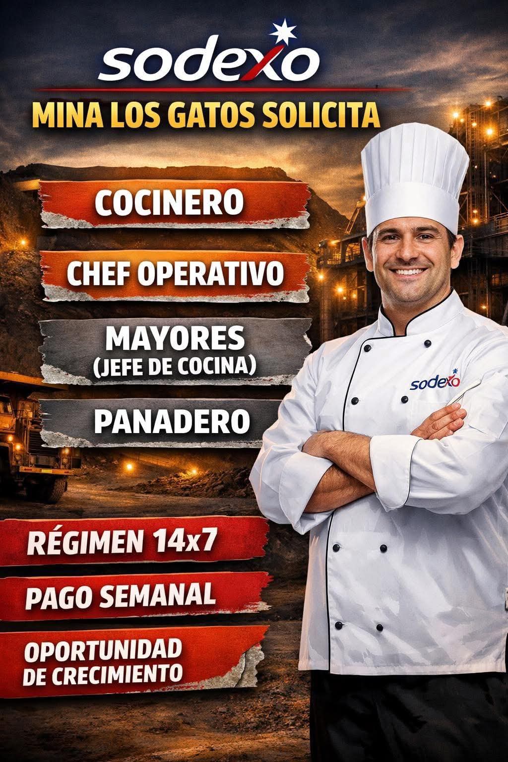 Cocinero