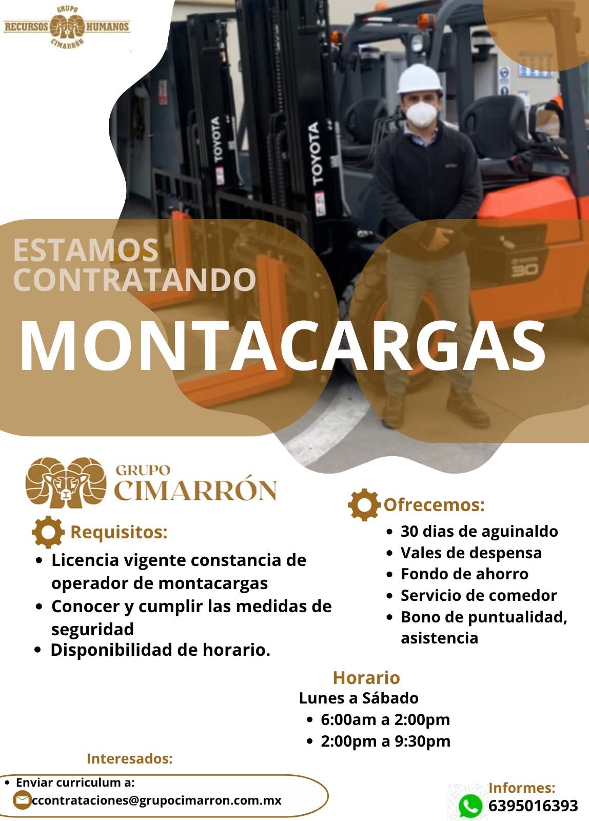 Montacargista