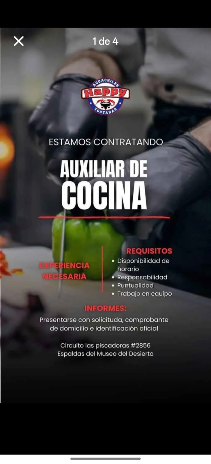 Auxiliar cocinerav