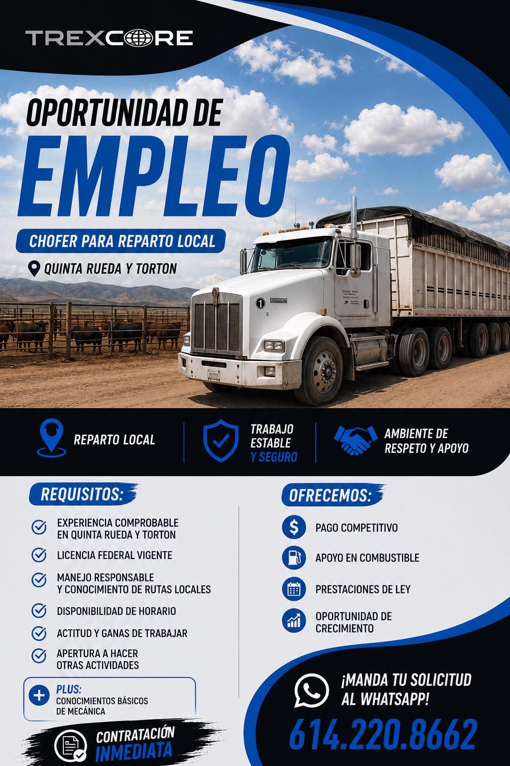 Chofer para reparto local