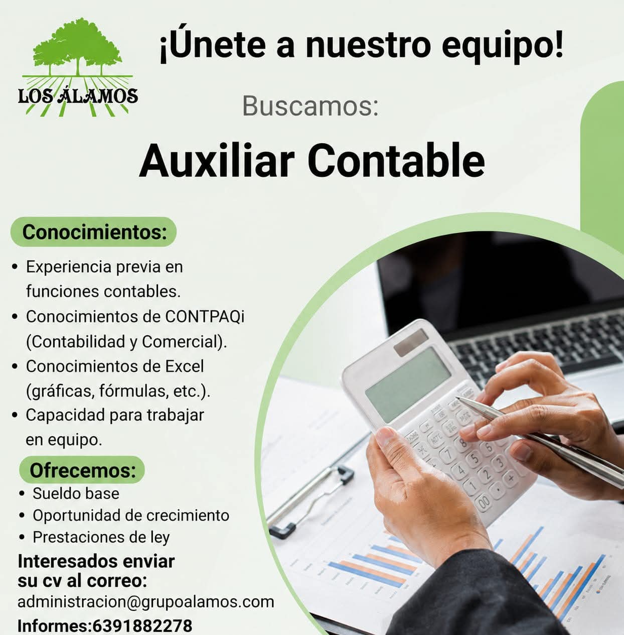 Auxiliar contable
