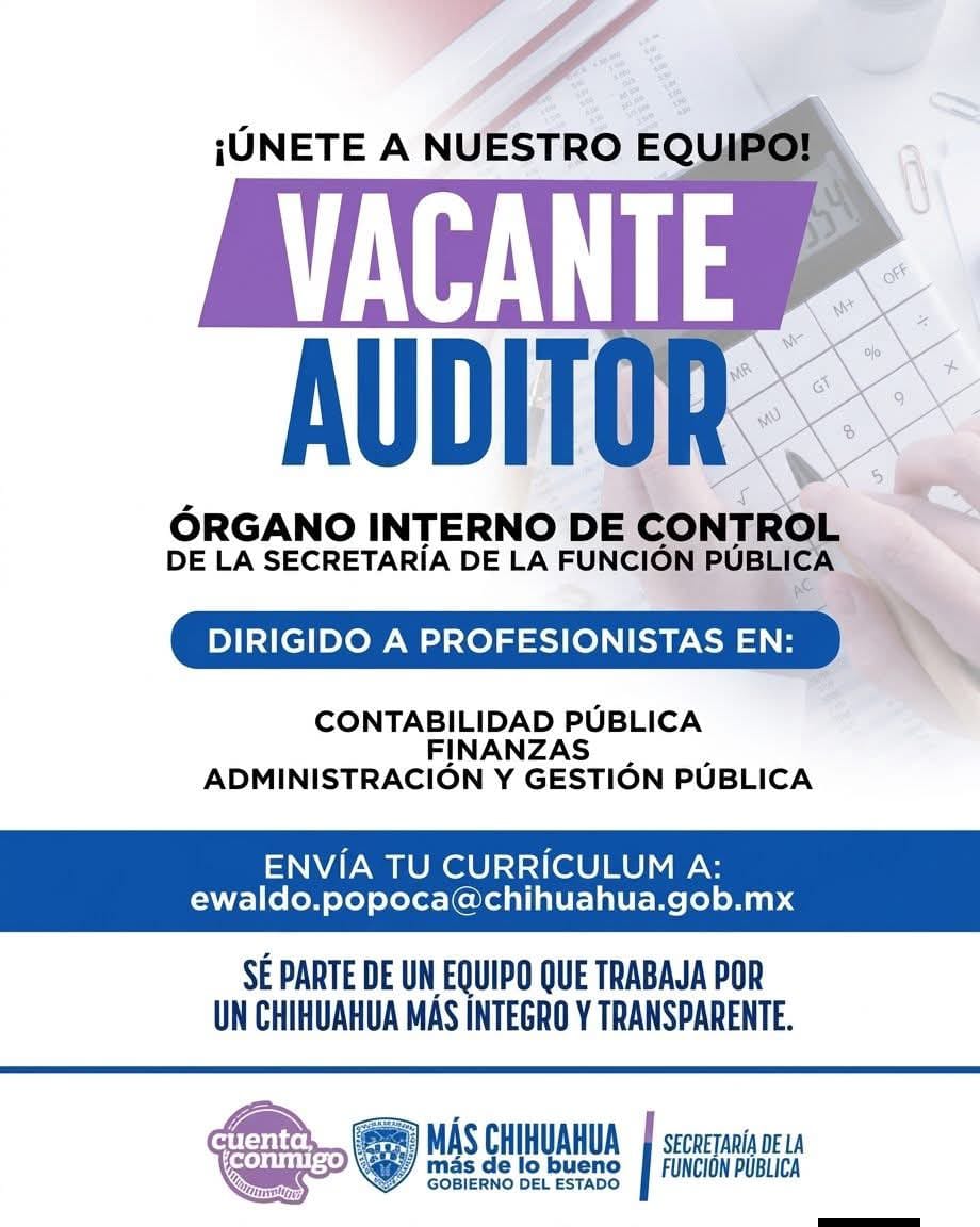 Auditor