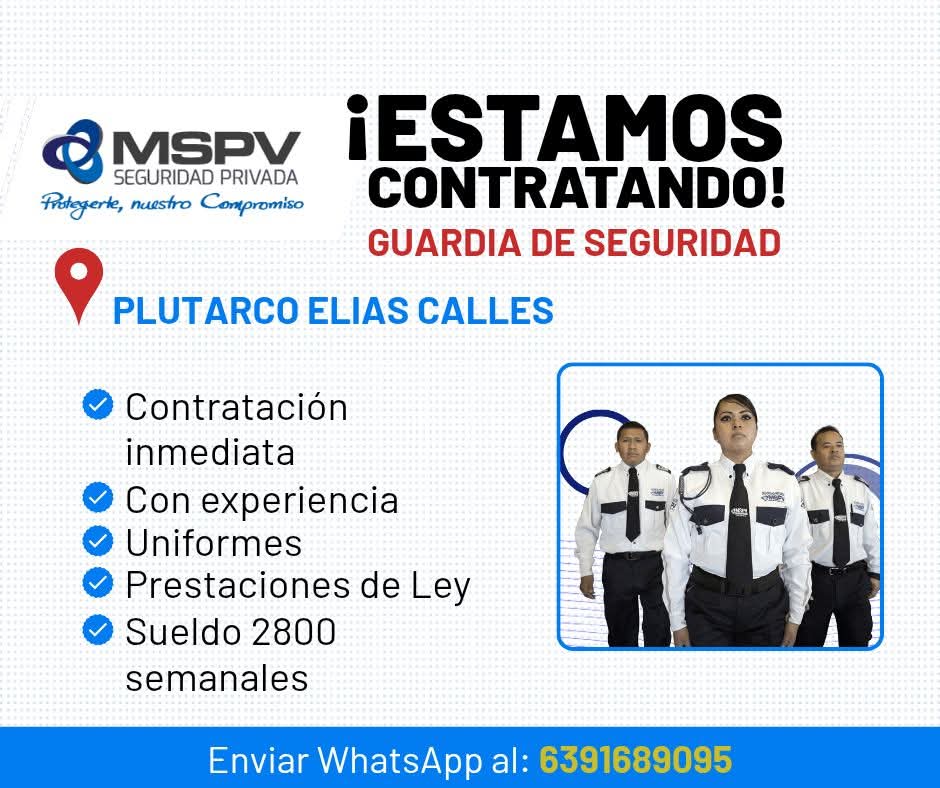 Guardia de seguridad