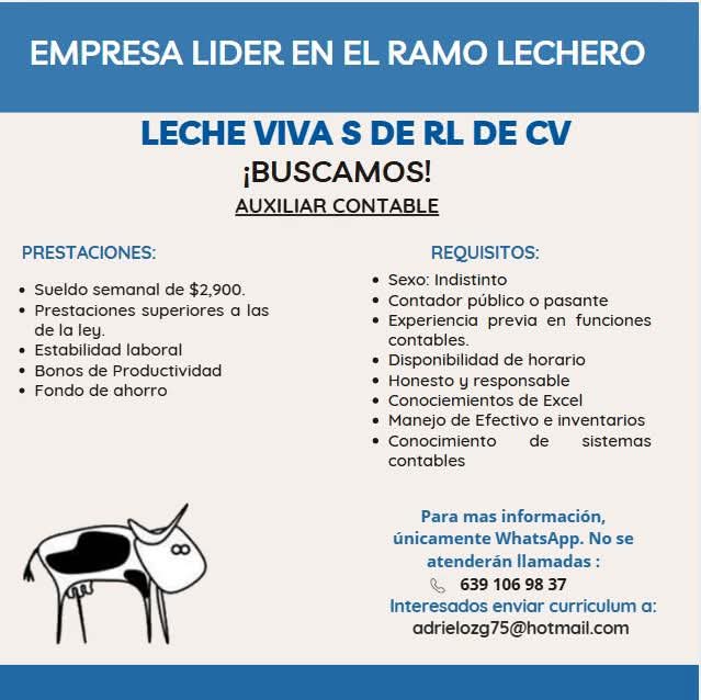 Auxiliar contable